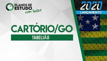 6 MESES | PLANOS DE ESTUDO COM TUTOR | CURSO CONCURSO CARTÓRIO (GO) | CRONOGRAMA