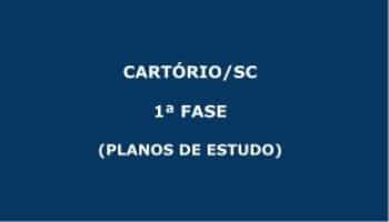 12 MESES | PLANOS DE ESTUDO COM TUTOR | CURSO CONCURSO CARTÓRIO (SC) | CRONOGRAMA